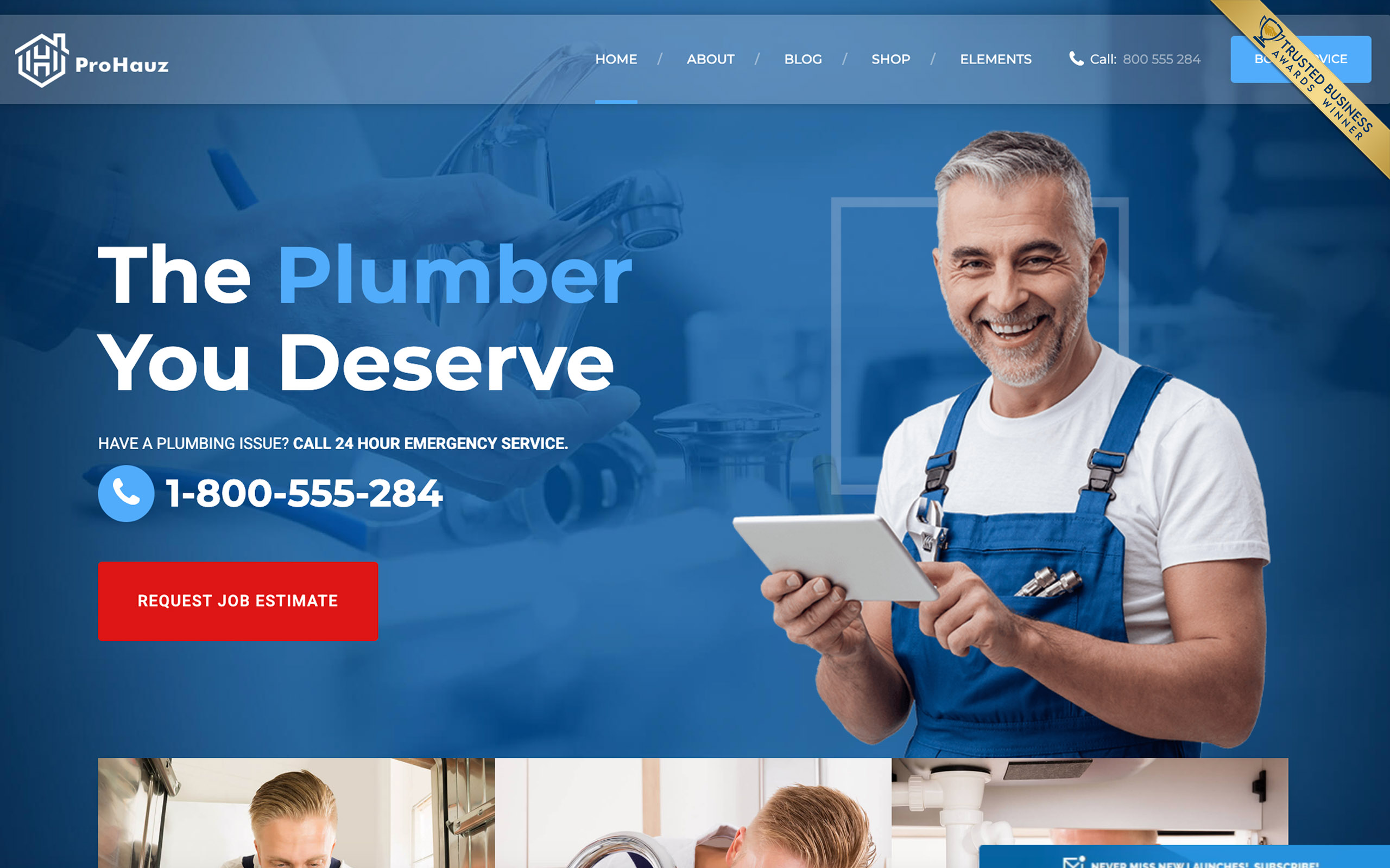 Trusted Business Award displayed on a professional website